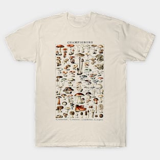 Champignons (Mushrooms) Edibility Chart T-Shirt